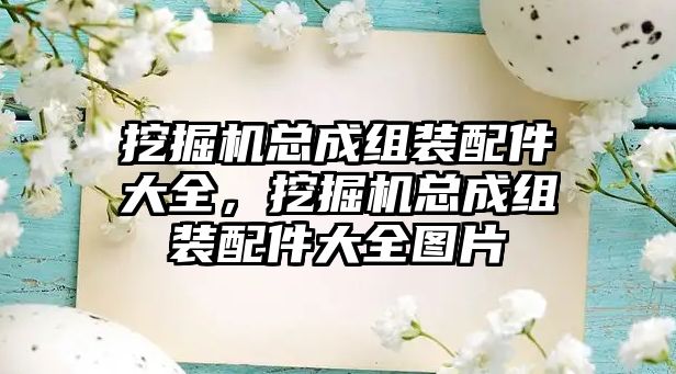 挖掘機總成組裝配件大全，挖掘機總成組裝配件大全圖片