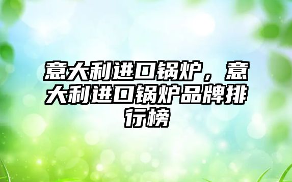 意大利進(jìn)口鍋爐，意大利進(jìn)口鍋爐品牌排行榜