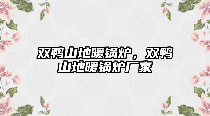 雙鴨山地暖鍋爐，雙鴨山地暖鍋爐廠家