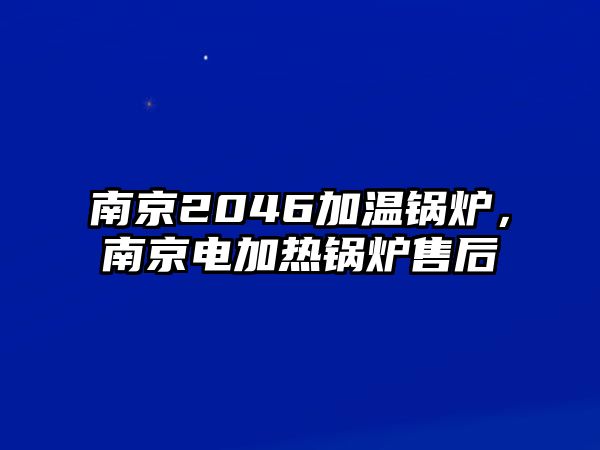 南京2046加溫鍋爐，南京電加熱鍋爐售后