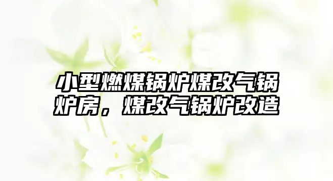 小型燃煤鍋爐煤改氣鍋爐房，煤改氣鍋爐改造