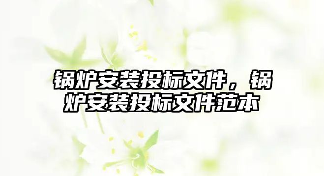 鍋爐安裝投標(biāo)文件，鍋爐安裝投標(biāo)文件范本