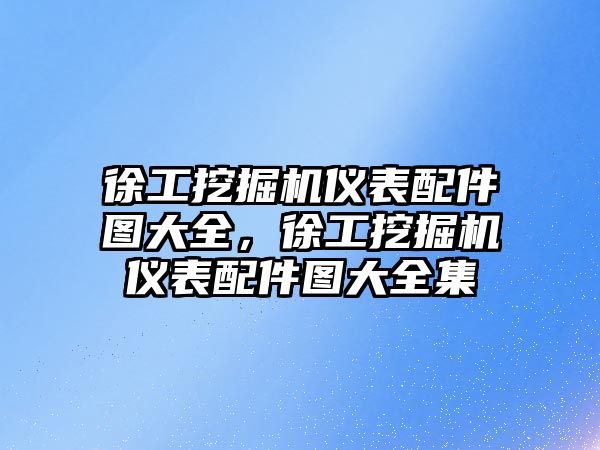 徐工挖掘機儀表配件圖大全，徐工挖掘機儀表配件圖大全集