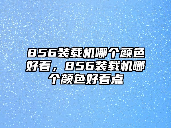 856裝載機哪個顏色好看，856裝載機哪個顏色好看點