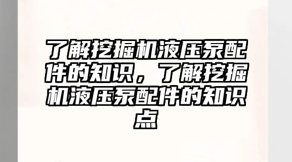 了解挖掘機液壓泵配件的知識，了解挖掘機液壓泵配件的知識點