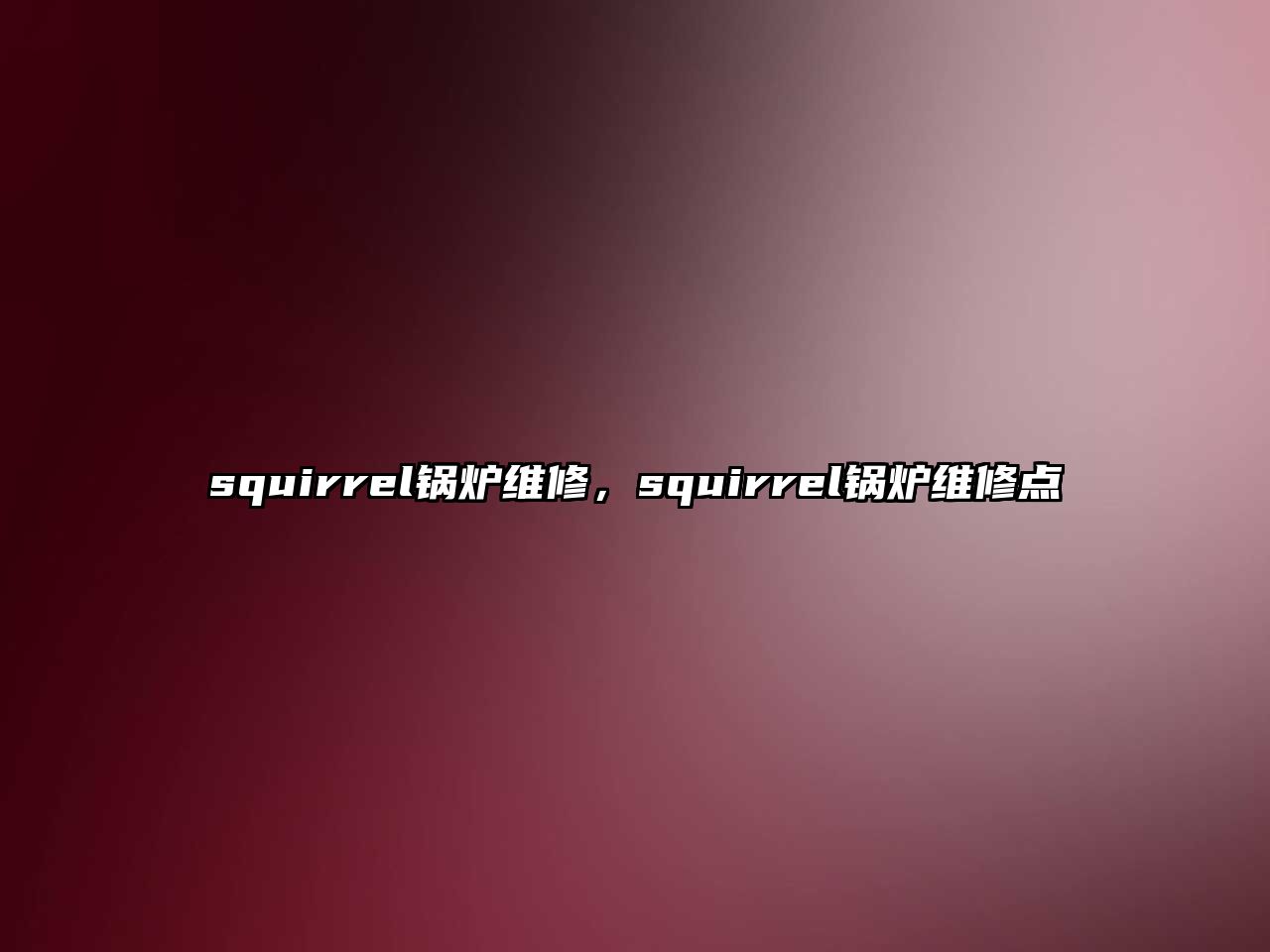 squirrel鍋爐維修，squirrel鍋爐維修點(diǎn)