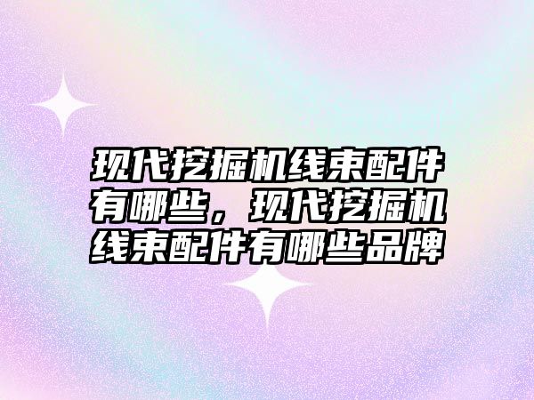 現(xiàn)代挖掘機線束配件有哪些，現(xiàn)代挖掘機線束配件有哪些品牌