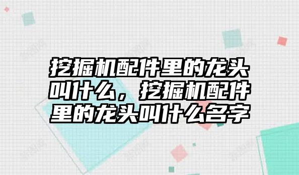 挖掘機(jī)配件里的龍頭叫什么，挖掘機(jī)配件里的龍頭叫什么名字