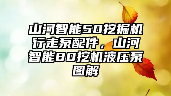 山河智能50挖掘機(jī)行走泵配件，山河智能80挖機(jī)液壓泵圖解