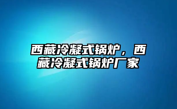 西藏冷凝式鍋爐，西藏冷凝式鍋爐廠家