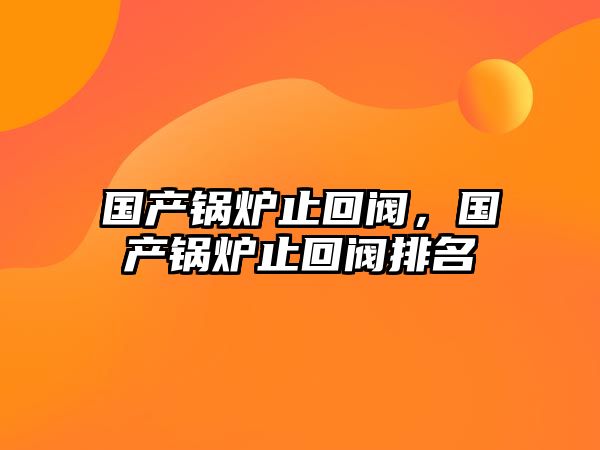 國產(chǎn)鍋爐止回閥，國產(chǎn)鍋爐止回閥排名