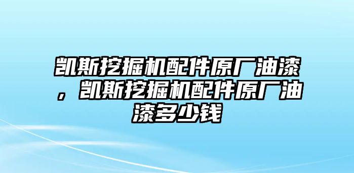 凱斯挖掘機(jī)配件原廠油漆，凱斯挖掘機(jī)配件原廠油漆多少錢