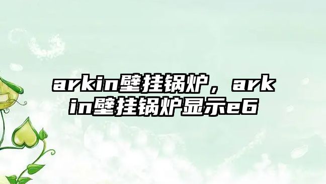 arkin壁掛鍋爐，arkin壁掛鍋爐顯示e6