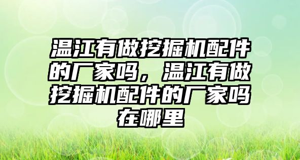 溫江有做挖掘機(jī)配件的廠家嗎，溫江有做挖掘機(jī)配件的廠家嗎在哪里