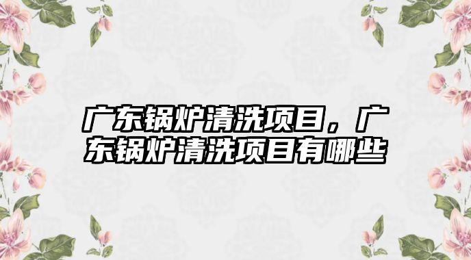 廣東鍋爐清洗項目，廣東鍋爐清洗項目有哪些