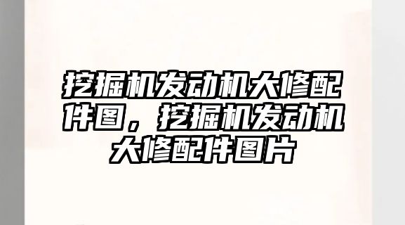 挖掘機發(fā)動機大修配件圖，挖掘機發(fā)動機大修配件圖片