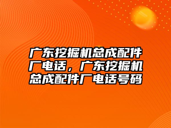 廣東挖掘機(jī)總成配件廠電話，廣東挖掘機(jī)總成配件廠電話號(hào)碼