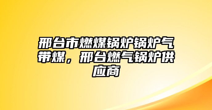 邢臺市燃煤鍋爐鍋爐氣帶煤，邢臺燃?xì)忮仩t供應(yīng)商