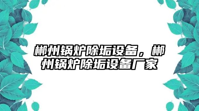 郴州鍋爐除垢設備，郴州鍋爐除垢設備廠家