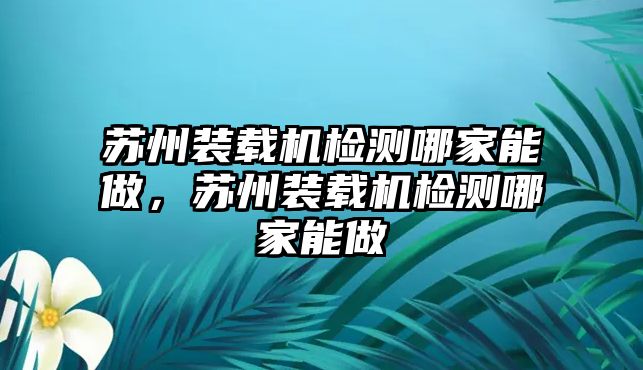 蘇州裝載機(jī)檢測(cè)哪家能做，蘇州裝載機(jī)檢測(cè)哪家能做