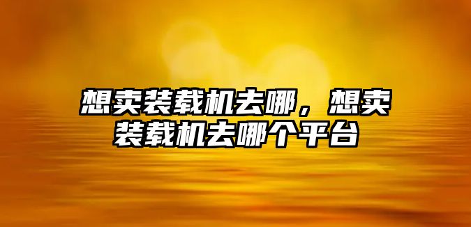 想賣裝載機去哪，想賣裝載機去哪個平臺