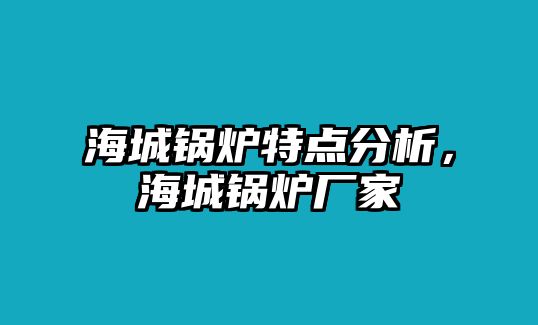 海城鍋爐特點分析，海城鍋爐廠家