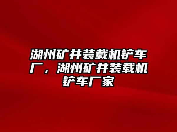 湖州礦井裝載機鏟車廠，湖州礦井裝載機鏟車廠家