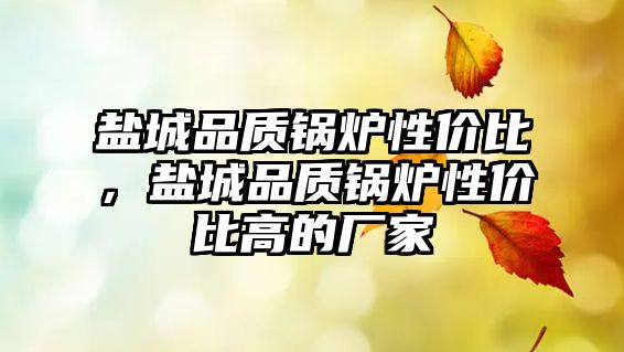 鹽城品質(zhì)鍋爐性價比，鹽城品質(zhì)鍋爐性價比高的廠家