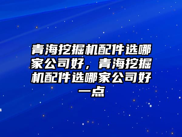 青海挖掘機(jī)配件選哪家公司好，青海挖掘機(jī)配件選哪家公司好一點(diǎn)