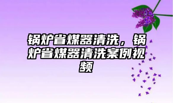 鍋爐省煤器清洗，鍋爐省煤器清洗案例視頻