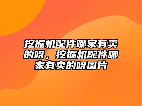 挖掘機配件哪家有賣的呀，挖掘機配件哪家有賣的呀圖片