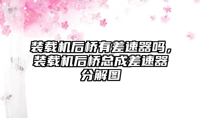 裝載機(jī)后橋有差速器嗎，裝載機(jī)后橋總成差速器分解圖