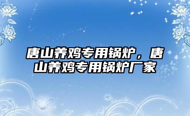 唐山養(yǎng)雞專用鍋爐，唐山養(yǎng)雞專用鍋爐廠家