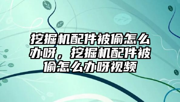 挖掘機(jī)配件被偷怎么辦呀，挖掘機(jī)配件被偷怎么辦呀視頻