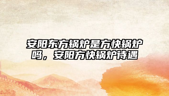 安陽(yáng)東方鍋爐是方快鍋爐嗎，安陽(yáng)方快鍋爐待遇