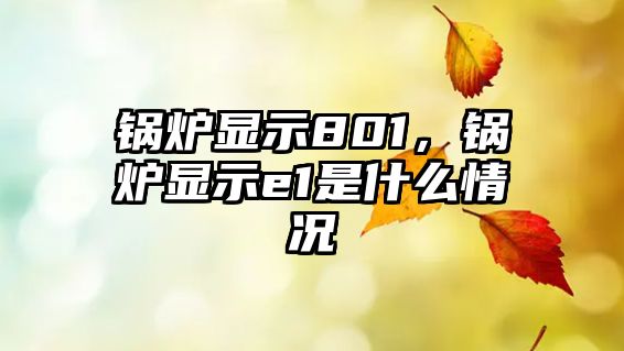 鍋爐顯示801，鍋爐顯示e1是什么情況