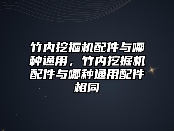 竹內(nèi)挖掘機配件與哪種通用，竹內(nèi)挖掘機配件與哪種通用配件相同