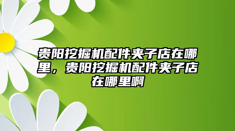 貴陽挖掘機配件夾子店在哪里，貴陽挖掘機配件夾子店在哪里啊