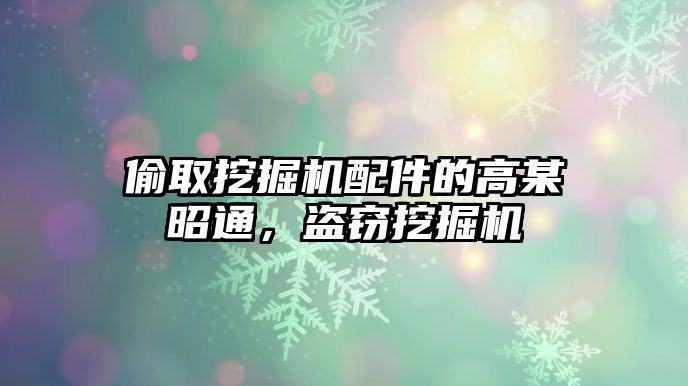 偷取挖掘機配件的高某昭通，盜竊挖掘機