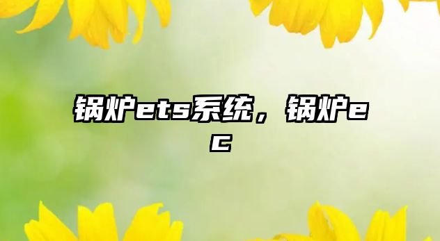 鍋爐ets系統(tǒng)，鍋爐ec