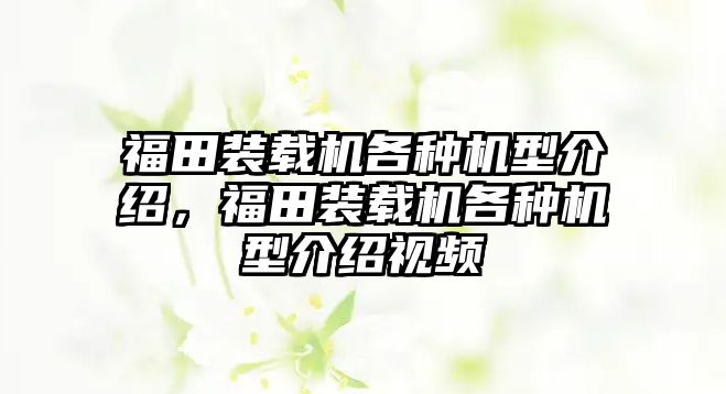 福田裝載機(jī)各種機(jī)型介紹，福田裝載機(jī)各種機(jī)型介紹視頻