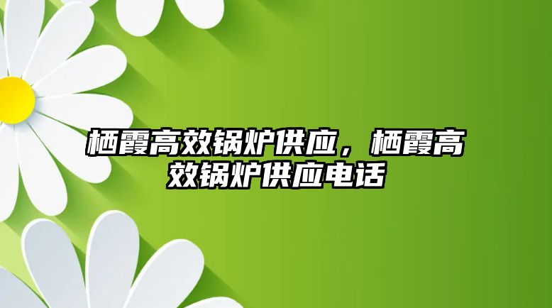 棲霞高效鍋爐供應，棲霞高效鍋爐供應電話