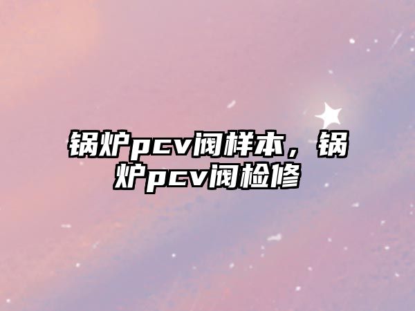 鍋爐pcv閥樣本，鍋爐pcv閥檢修