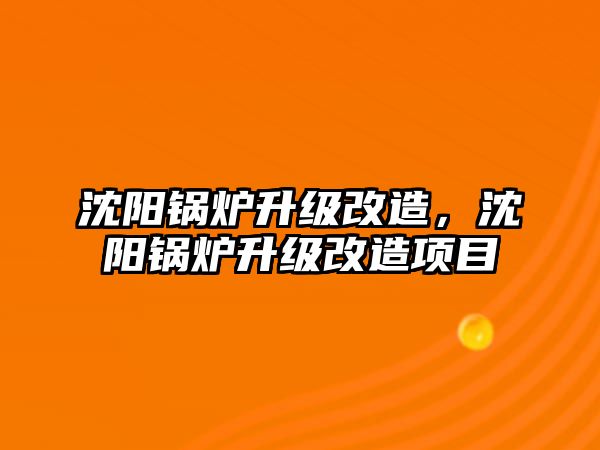 沈陽鍋爐升級改造，沈陽鍋爐升級改造項目