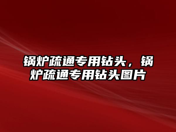 鍋爐疏通專用鉆頭，鍋爐疏通專用鉆頭圖片