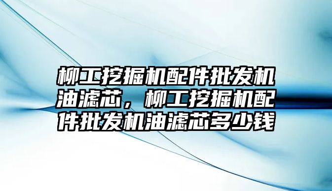 柳工挖掘機配件批發(fā)機油濾芯，柳工挖掘機配件批發(fā)機油濾芯多少錢