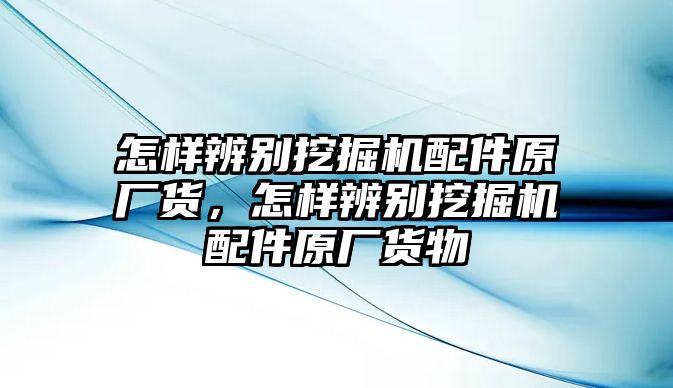 怎樣辨別挖掘機配件原廠貨，怎樣辨別挖掘機配件原廠貨物