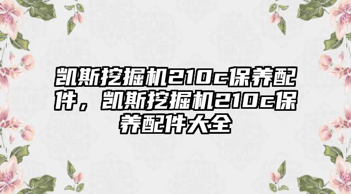 凱斯挖掘機(jī)210c保養(yǎng)配件，凱斯挖掘機(jī)210c保養(yǎng)配件大全