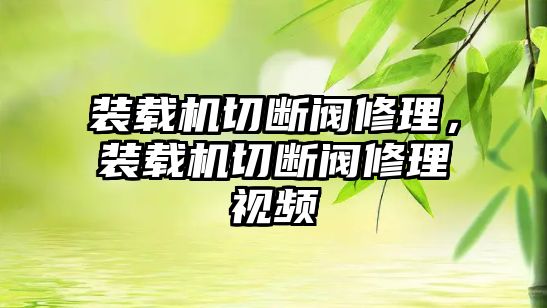 裝載機(jī)切斷閥修理，裝載機(jī)切斷閥修理視頻