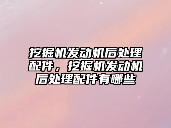 挖掘機發(fā)動機后處理配件，挖掘機發(fā)動機后處理配件有哪些